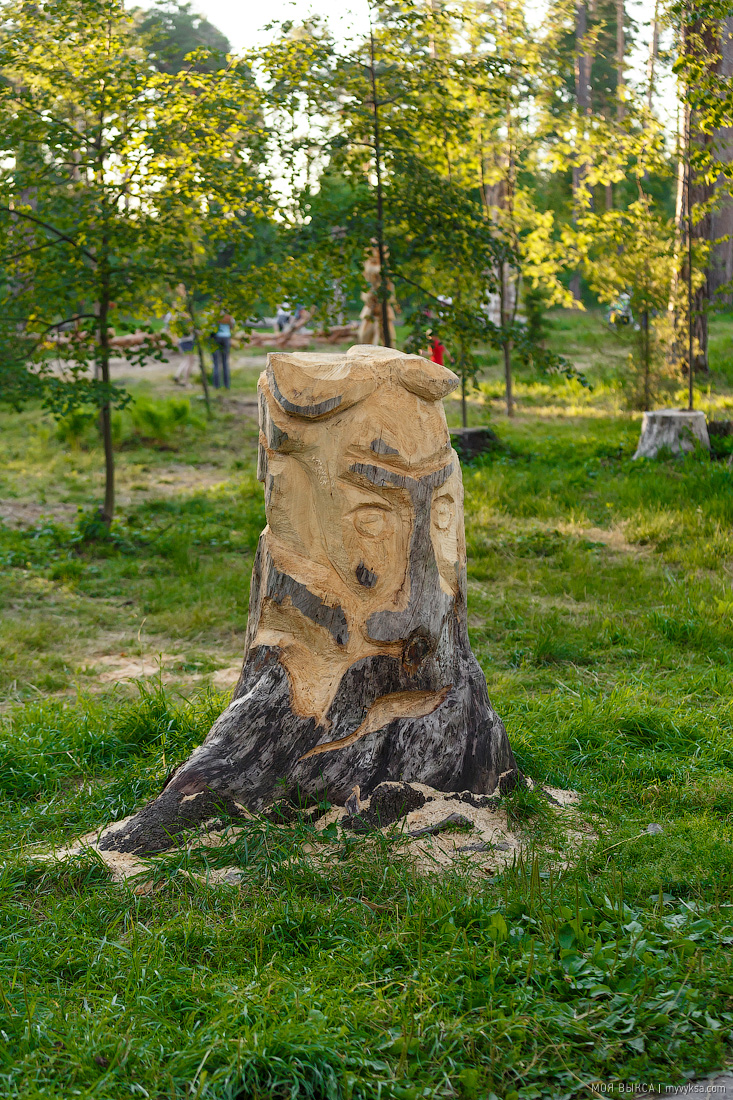Деревянные скульптуры фестиваля «Одолень-трава» в Выксе