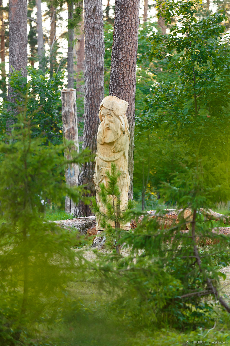 Деревянные скульптуры фестиваля «Одолень-трава» в Выксе